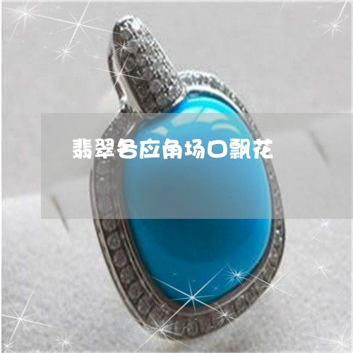 翡翠各应角场口飘花/2023041012159 翡翠各应角场口飘花/2023041012159
