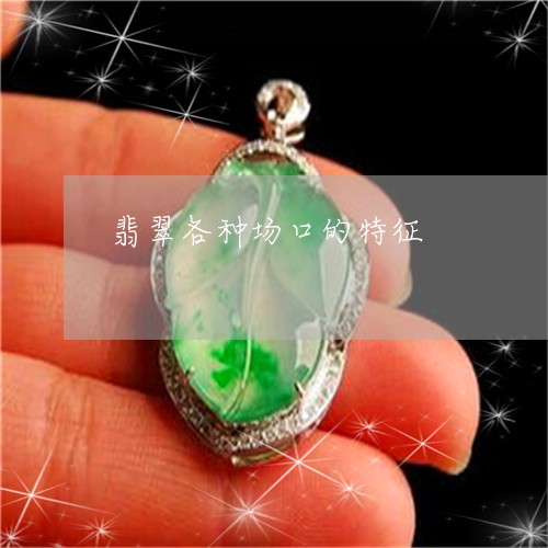 翡翠各种场口的特征/2023041003726