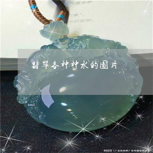 翡翠各种种水的图片/2023041057049 翡翠各种种水的图片/2023041057049