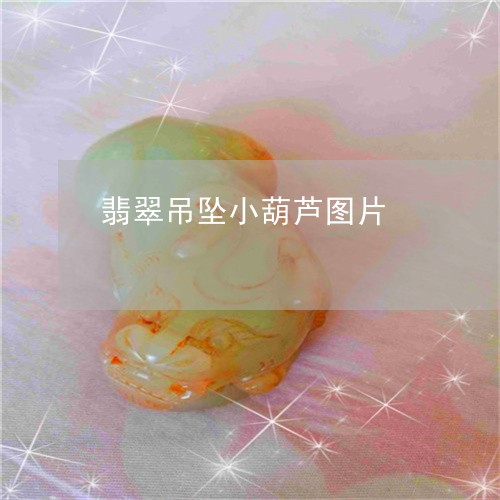 翡翠吊坠小葫芦图片/2023041073959 翡翠吊坠小葫芦图片/2023041073959
