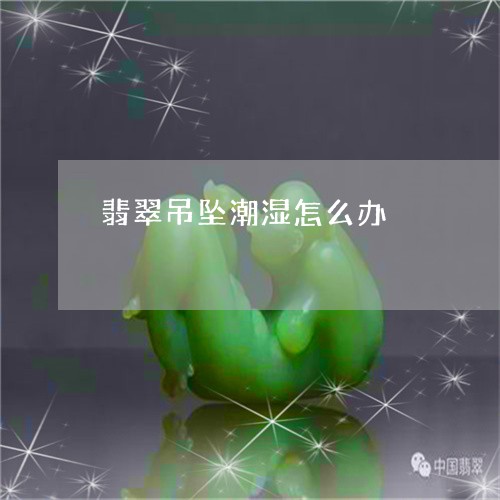 翡翠吊坠潮湿怎么办/2023041028583 翡翠吊坠潮湿怎么办/2023041028583
