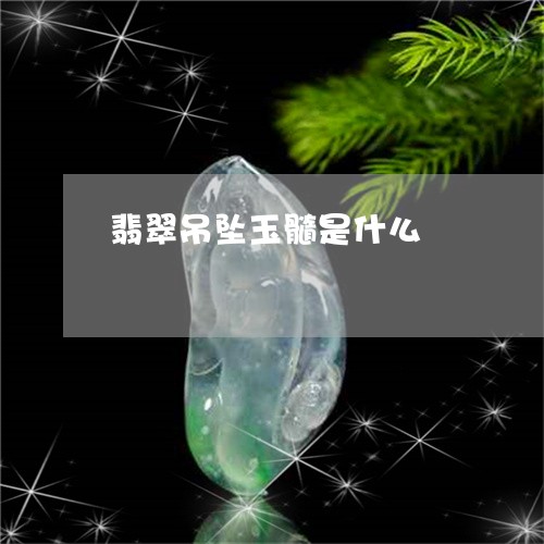 翡翠吊坠玉髓是什么/2023041083704