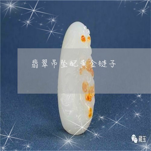 翡翠吊坠配黄金链子/2023041025846 翡翠吊坠配黄金链子/2023041025846