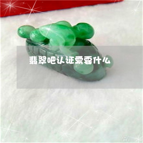 翡翠吧认证需要什么/2023041035259 翡翠吧认证需要什么/2023041035259