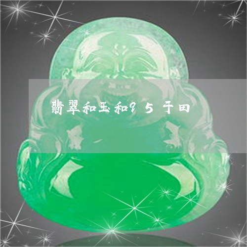翡翠和玉和95于田/2023041012729