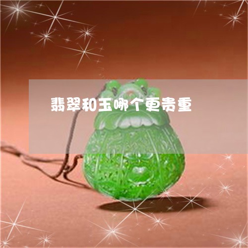 翡翠和玉哪个更贵重/2023041013148