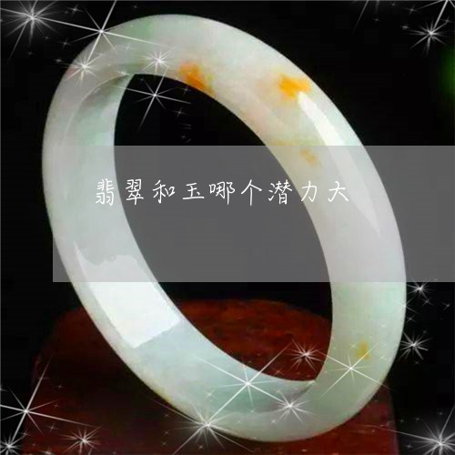 翡翠和玉哪个潜力大/2023041003959