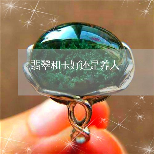 翡翠和玉好还是养人/2023041000595 翡翠和玉好还是养人/2023041000595