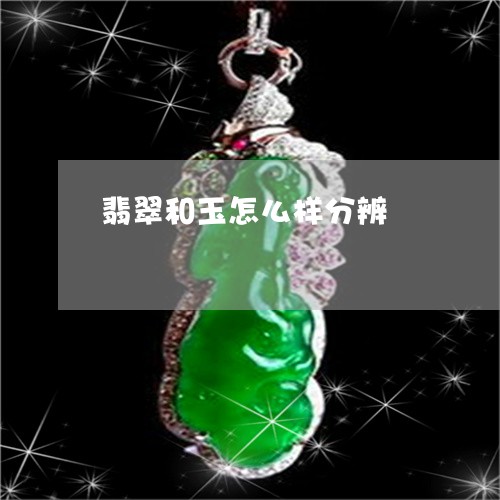 翡翠和玉怎么样分辨/2023041044847