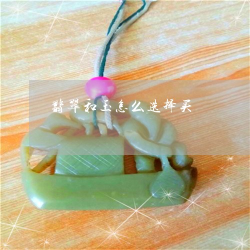 翡翠和玉怎么选择买/2023041056948