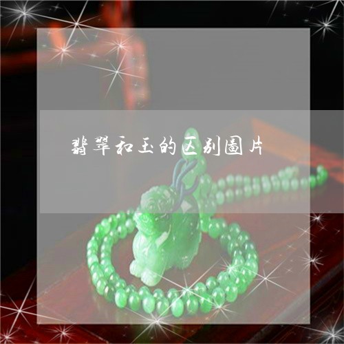 翡翠和玉的区别图片/2023041061627 翡翠和玉的区别图片/2023041061627