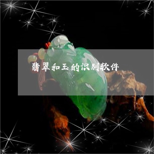 翡翠和玉的识别软件/2023041021606 翡翠和玉的识别软件/2023041021606