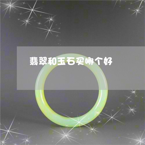 翡翠和玉石买哪个好/2023041047030 翡翠和玉石买哪个好/2023041047030