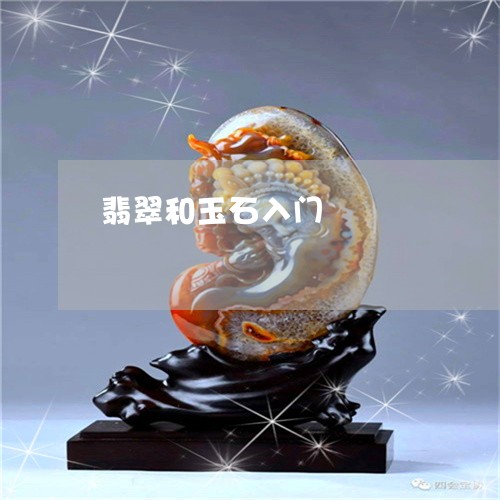 翡翠和玉石入门/2023032716058 翡翠和玉石入门/2023032716058