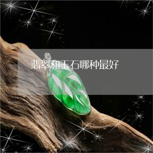 翡翠和玉石哪种最好/2023041092926