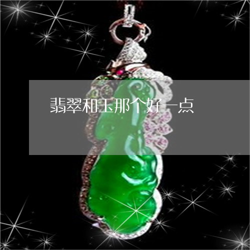 翡翠和玉那个好一点/2023041092837