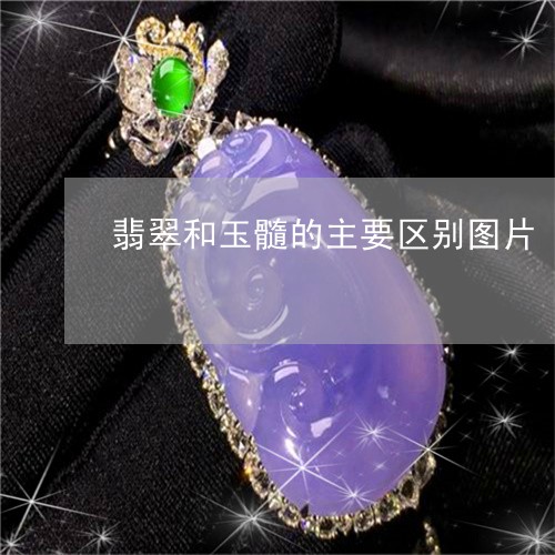 翡翠和玉髓的主要区别图片/2023061926049