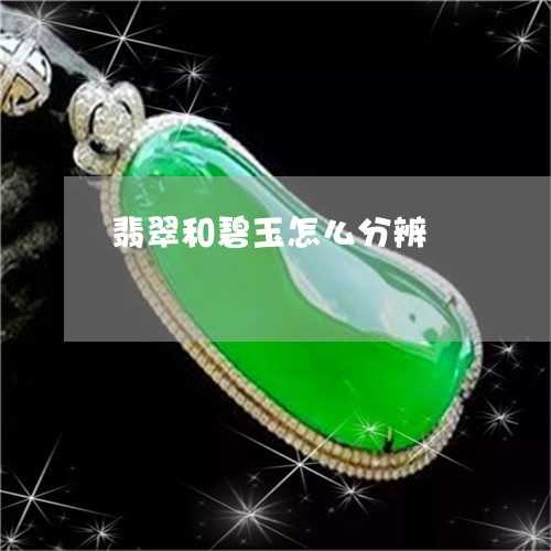 翡翠和碧玉怎么分辨/2023041070684