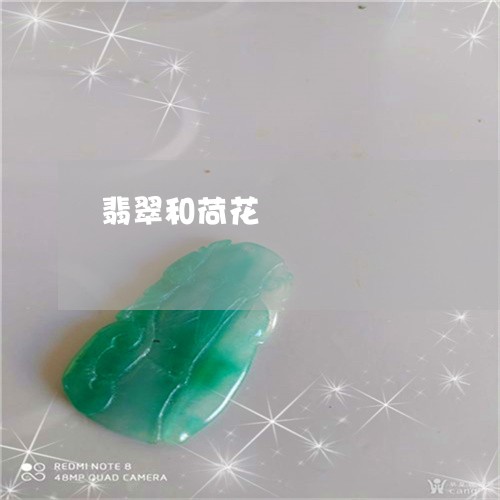 翡翠和荷花/2023071454725