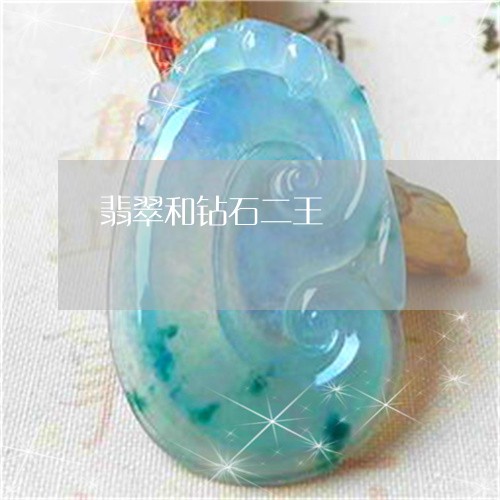 翡翠和钻石二王/2023032773714