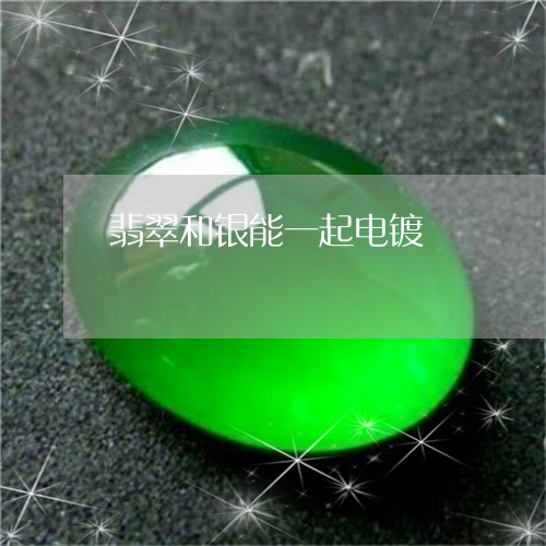 翡翠和银能一起电镀/2023041059462 翡翠和银能一起电镀/2023041059462
