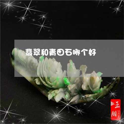 翡翠和青田石哪个好/2023041092715 翡翠和青田石哪个好/2023041092715