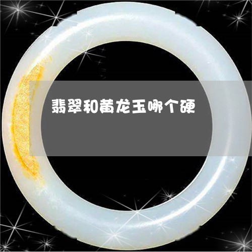 翡翠和黄龙玉哪个硬/2023041010805