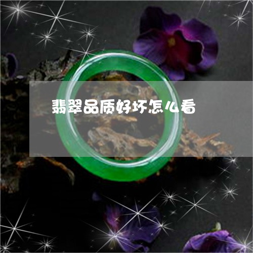 翡翠品质好坏怎么看/2023041038150