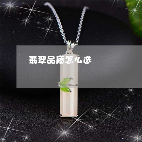 翡翠品质怎么选/2023032772583 翡翠品质怎么选/2023032772583