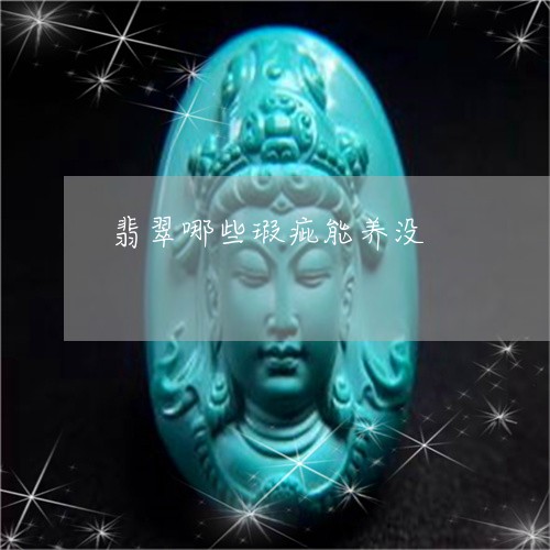翡翠哪些瑕疵能养没/2023041034158