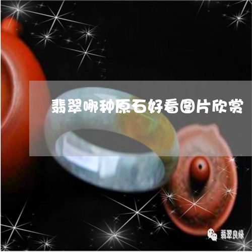 翡翠哪种原石好看图片欣赏/2023062751693