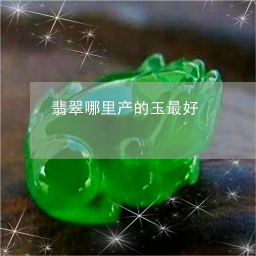 翡翠哪里产的玉最好/2023041029482