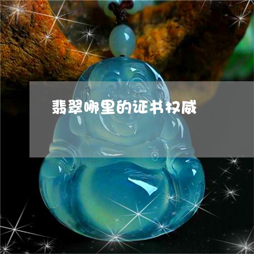 翡翠哪里的证书权威/2023041024057