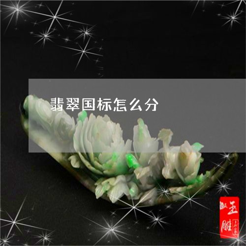 翡翠国标怎么分/2023032739371