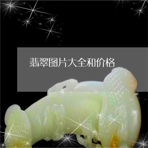 翡翠图片大全和价格/2023040947350 翡翠图片大全和价格/2023040947350