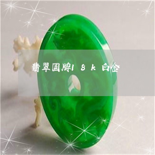 翡翠圆牌18k白金/2023040971714