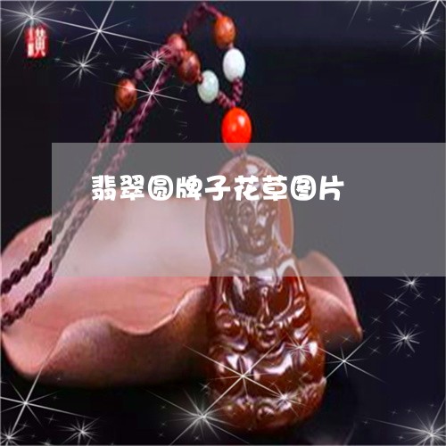 翡翠圆牌子花草图片/2023040924503 翡翠圆牌子花草图片/2023040924503