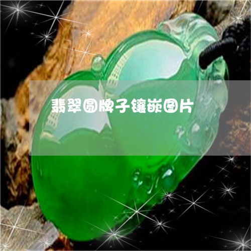 翡翠圆牌子镶嵌图片/2023040914028 翡翠圆牌子镶嵌图片/2023040914028