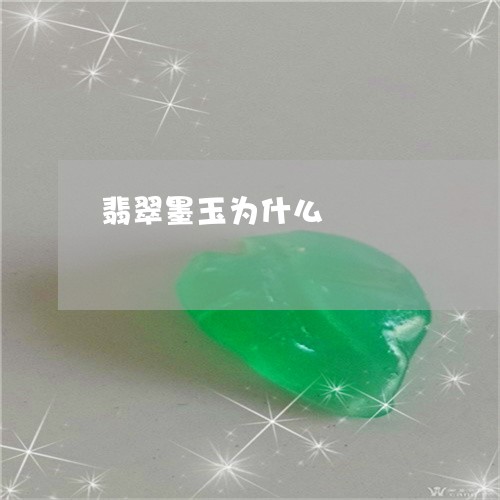 翡翠墨玉为什么/2023032792717 翡翠墨玉为什么/2023032792717