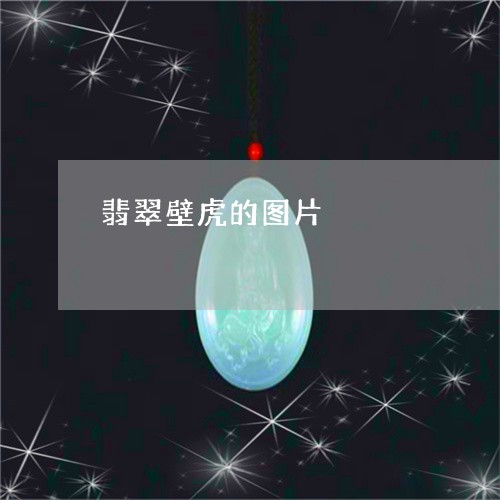 翡翠壁虎的图片/2023032783727