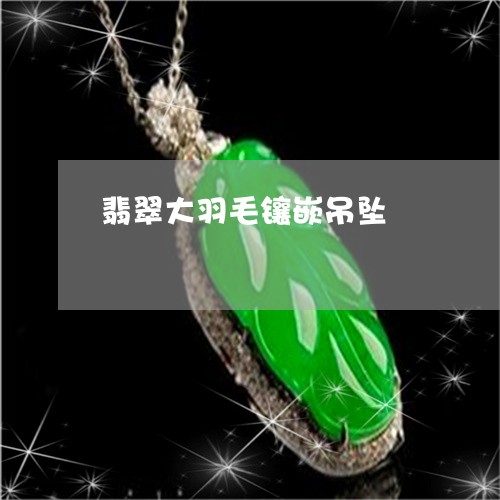 翡翠大羽毛镶嵌吊坠/2023040982615