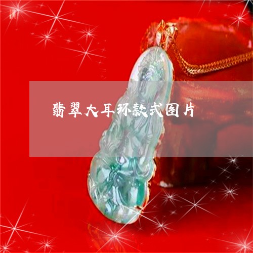 翡翠大耳环款式图片/2023040936472