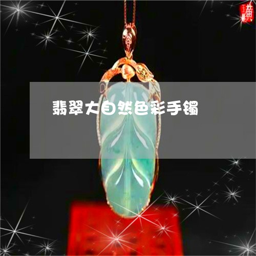 翡翠大自然色彩手镯/2023040983805 翡翠大自然色彩手镯/2023040983805
