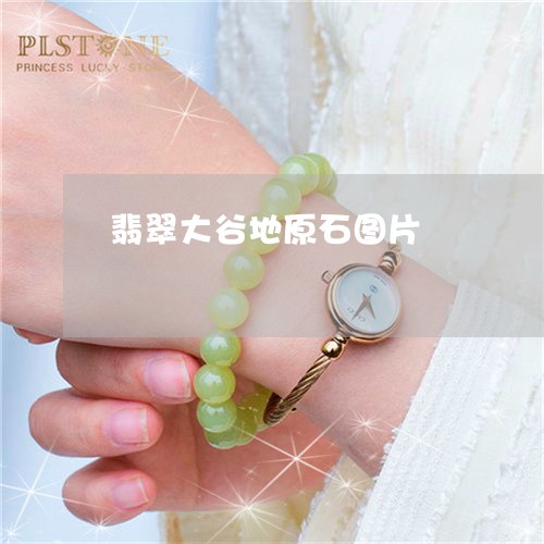 翡翠大谷地原石图片/2023040983826 翡翠大谷地原石图片/2023040983826