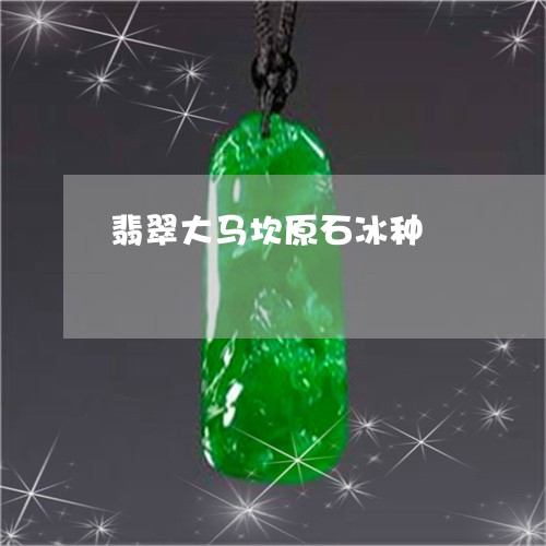 翡翠大马坎原石冰种/2023040984037