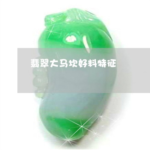 翡翠大马坎好料特征/2023040924816