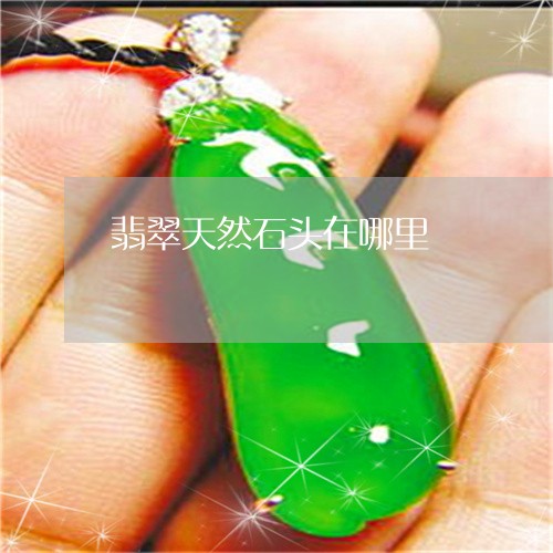 翡翠天然石头在哪里/2023040955379