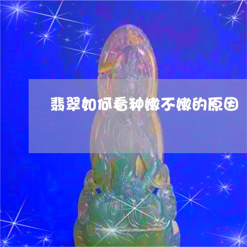 翡翠如何看种嫩不嫩的原因/2023071174716