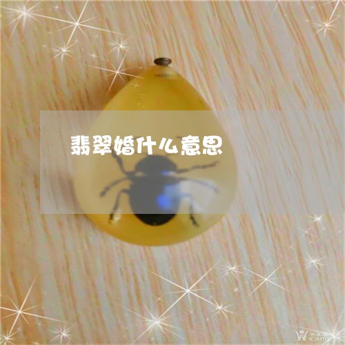 翡翠婚什么意思/2023032761793 翡翠婚什么意思/2023032761793