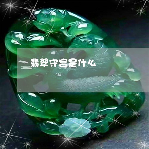 翡翠守宫是什么/2023032660590